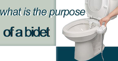 8 Reasons Why You Should Use a Bidet-Experts says