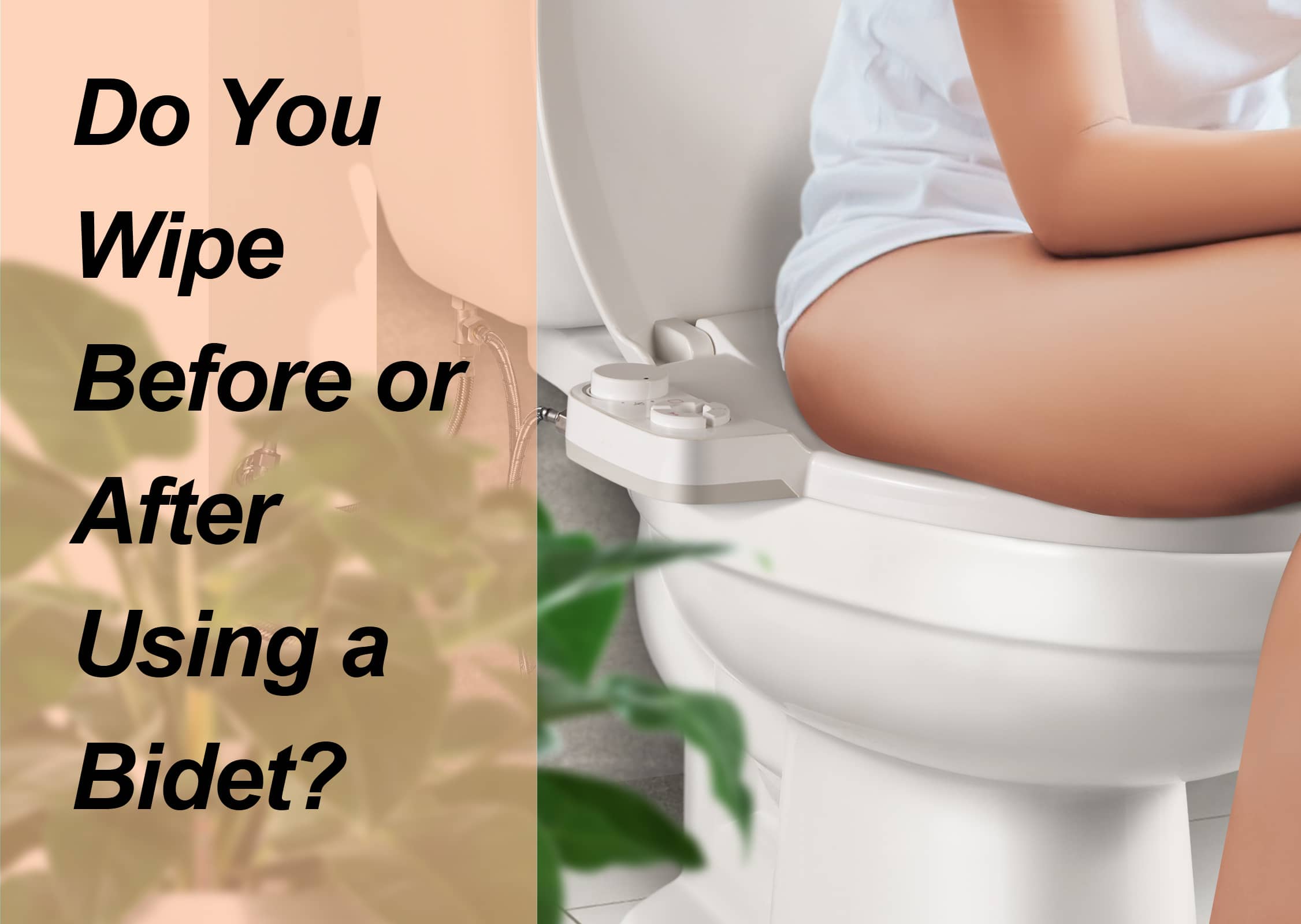 Do You Wipe Before or After Using a Bidet?All F&Q SAMODRA