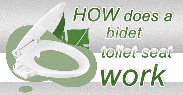 How Does a Bidet Toilet Seat Work? – SAMODRA